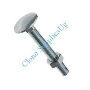 Carriage Bolts