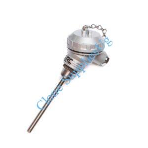 PT100 RTD with Terminal Head