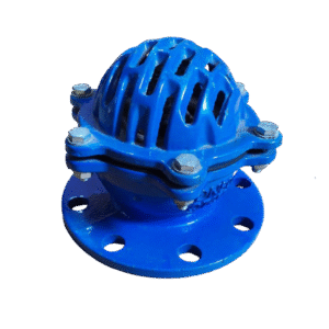 Cast Iron Flanged Foot Valve PN16