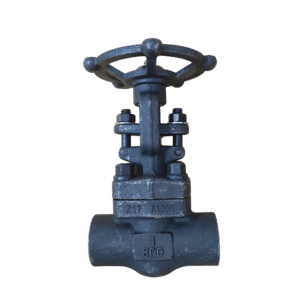 Forged Steel Gate Valves