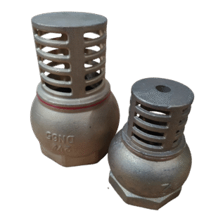 Brass Foot Valve