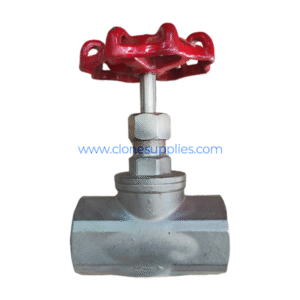 Globe Valve 1.5″ CF8M in Uganda - Clone Supplies